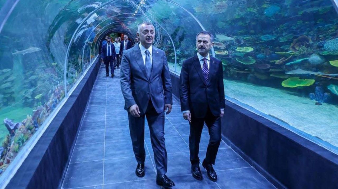 Kocaeli'nin Yeni Akvaryumu Körfez Aqua Açılış İçin Gün Sayıyor!