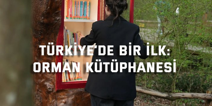 Gebze Orman Kütüphanesi okurlara doğayla iç içe okuma imkanı sağlıyor.